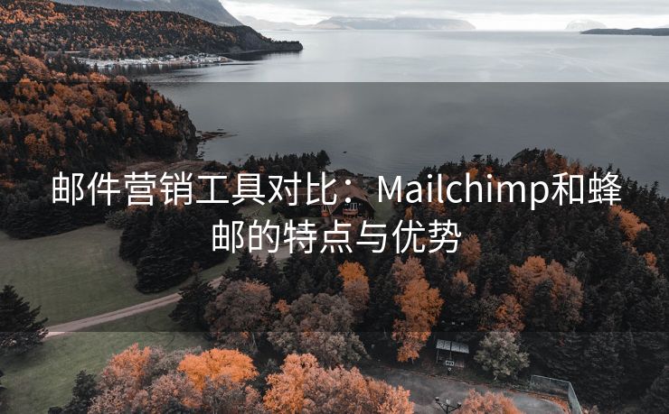 邮件营销工具对比:Mailchimp和蜂邮的特点与优势