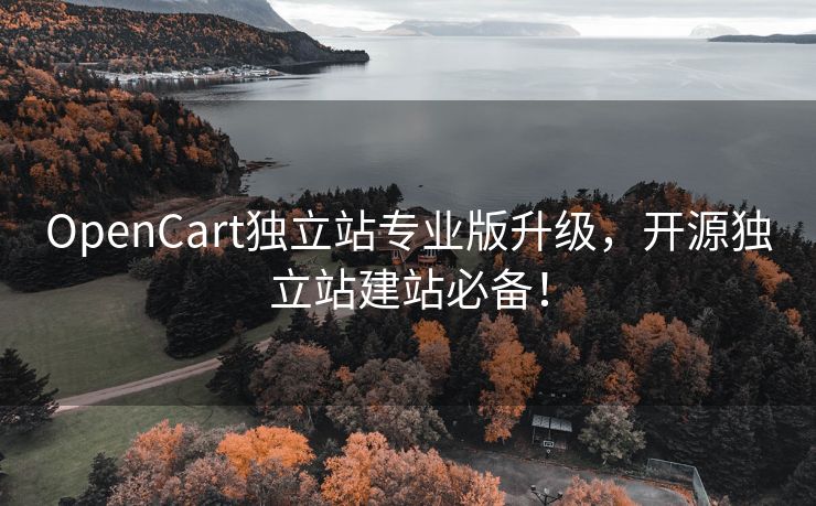 OpenCart独立站专业版升级,开源独立站建站必备!