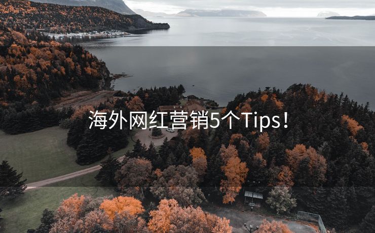 海外网红营销5个Tips!