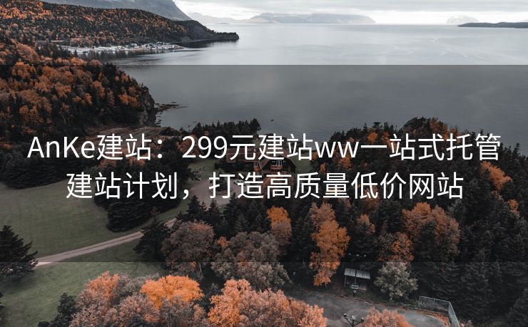AnKe建站:299元建站ww一站式托管建站计划,打造高质量低价网站