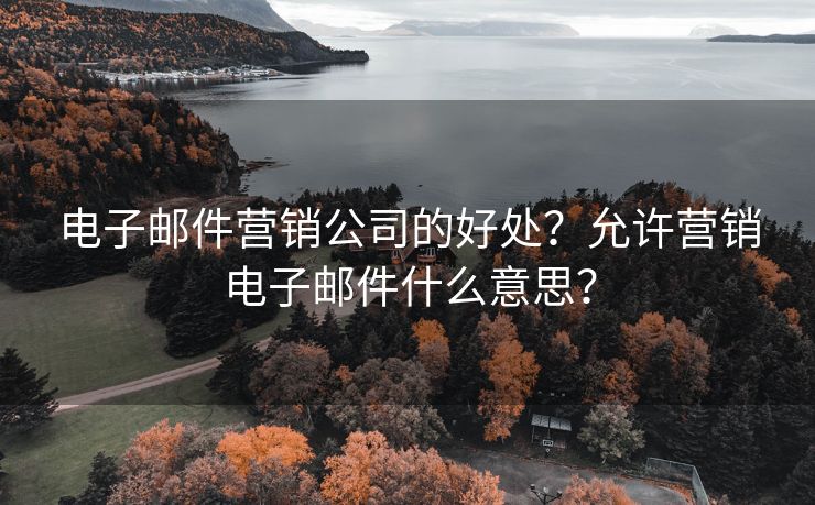 电子邮件营销公司的好处?允许营销电子邮件什么意思? 电子邮件营销公司的好处?允许营销电子邮件什么意思?