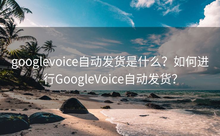 googlevoice自动发货是什么?如何进行GoogleVoice自动发货? googlevoice自动发货是什么?如何进行GoogleVoice自动发货?