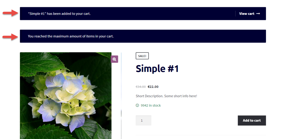 WooCommerce 教程：在购物车中只允许一个产品