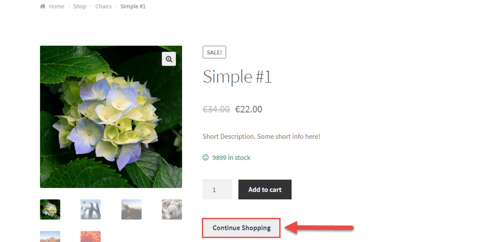 WooCommerce 教程：“继续购物” 按钮在单一产品页面