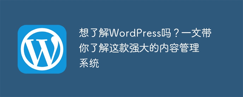 想了解WordPress吗?一文带你了解这款强大的内容管理系统