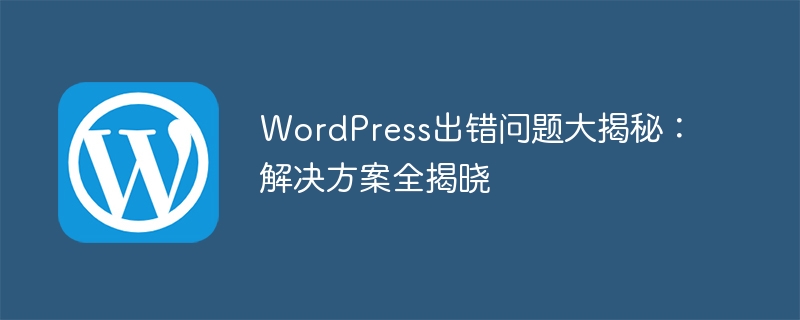 WordPress出错问题大揭秘:解决方案全揭晓