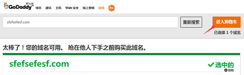 进入godaddy购物车
