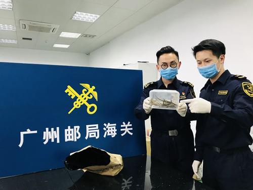 广州海关精简流程,15分钟完成通关手续