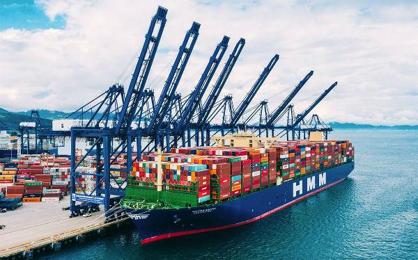 国际海运公司装赚爆了,HMM一季度收益超去年全年!