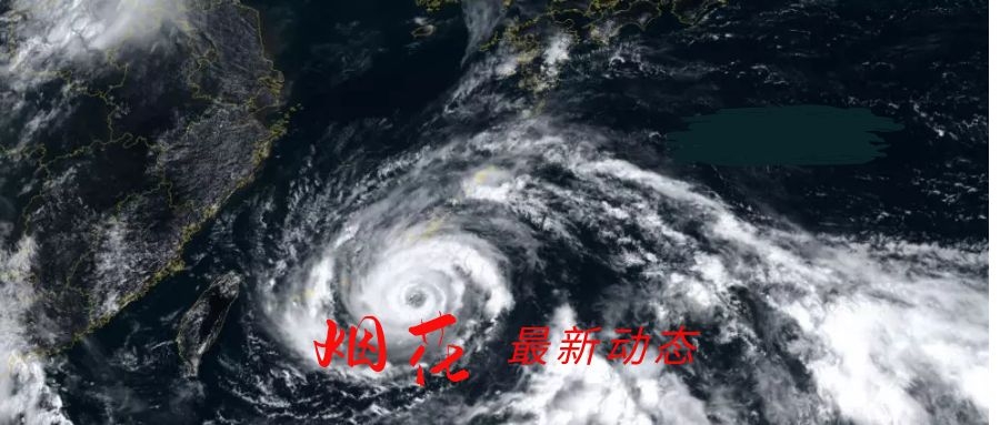 上海即将迎来史上最大台风之一,国际海运码头已暂停进提空箱!