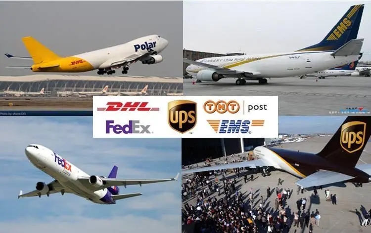dhl国际快递单号查询