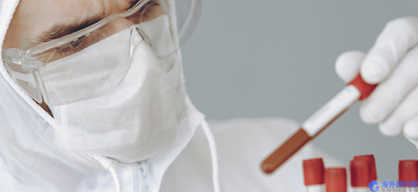 MDR法规下,欧盟授权代表/ 欧代/ ECREP怎么申请?