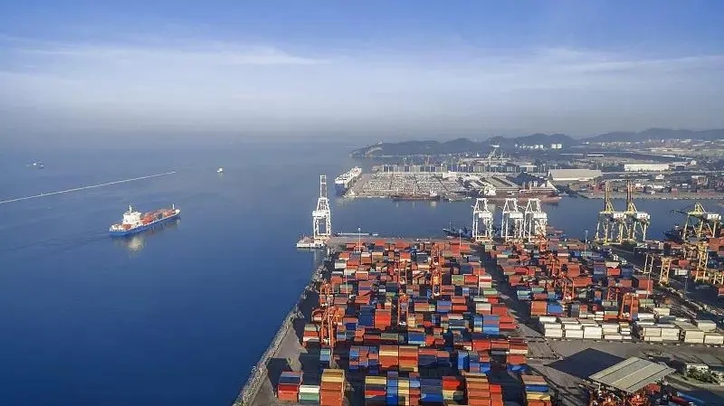 物流货运查询网（如何查询国际物流信息）