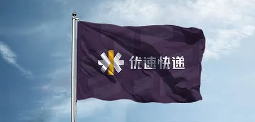 速优国际快递查询（速优快递单号官网查询）