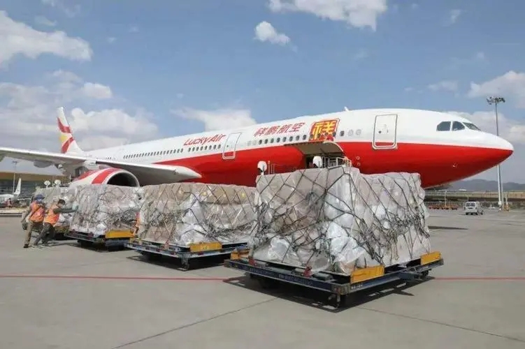 拉萨空运公司电话（拉萨航空货运服务怎么样）
