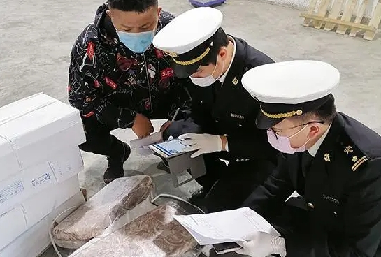 国际物流货物为什么要商检（一文详解国际物流运输商检的重要性）