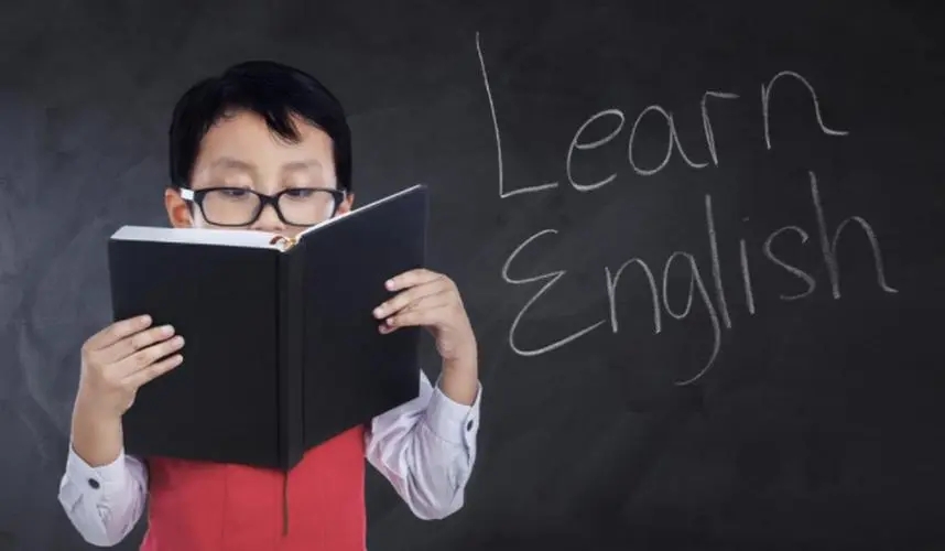 primary是什么意思(外贸人学英文)