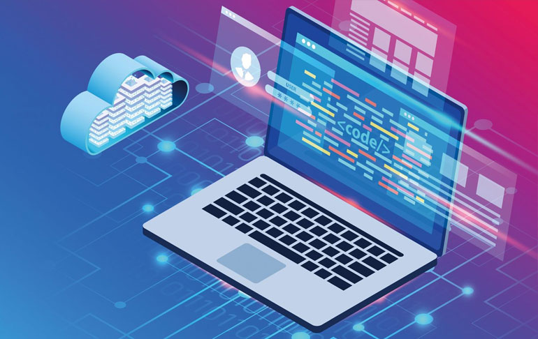 网站及程序开发