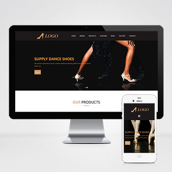 网页设计师中级